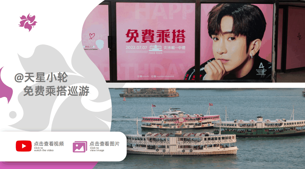 天星小轮+的士免费乘搭巡游