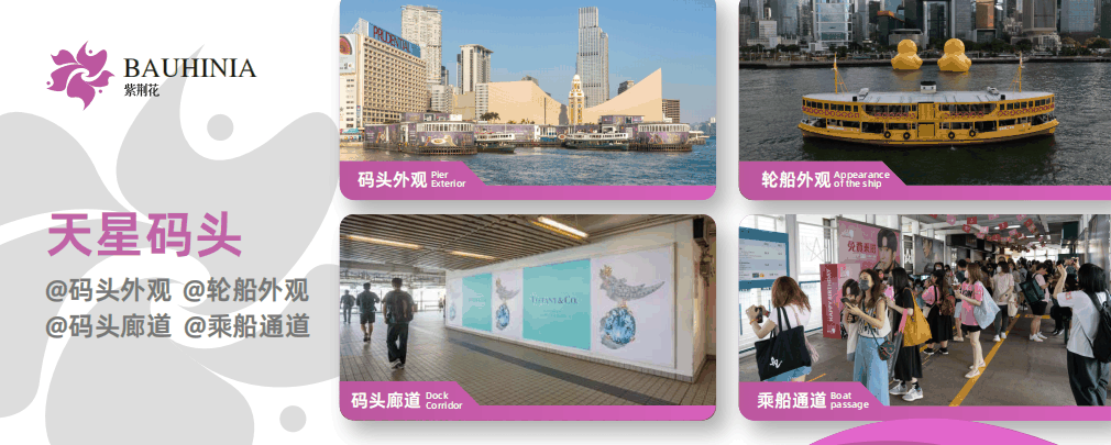 香港天星小轮广告